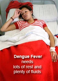 Dengue fever patient